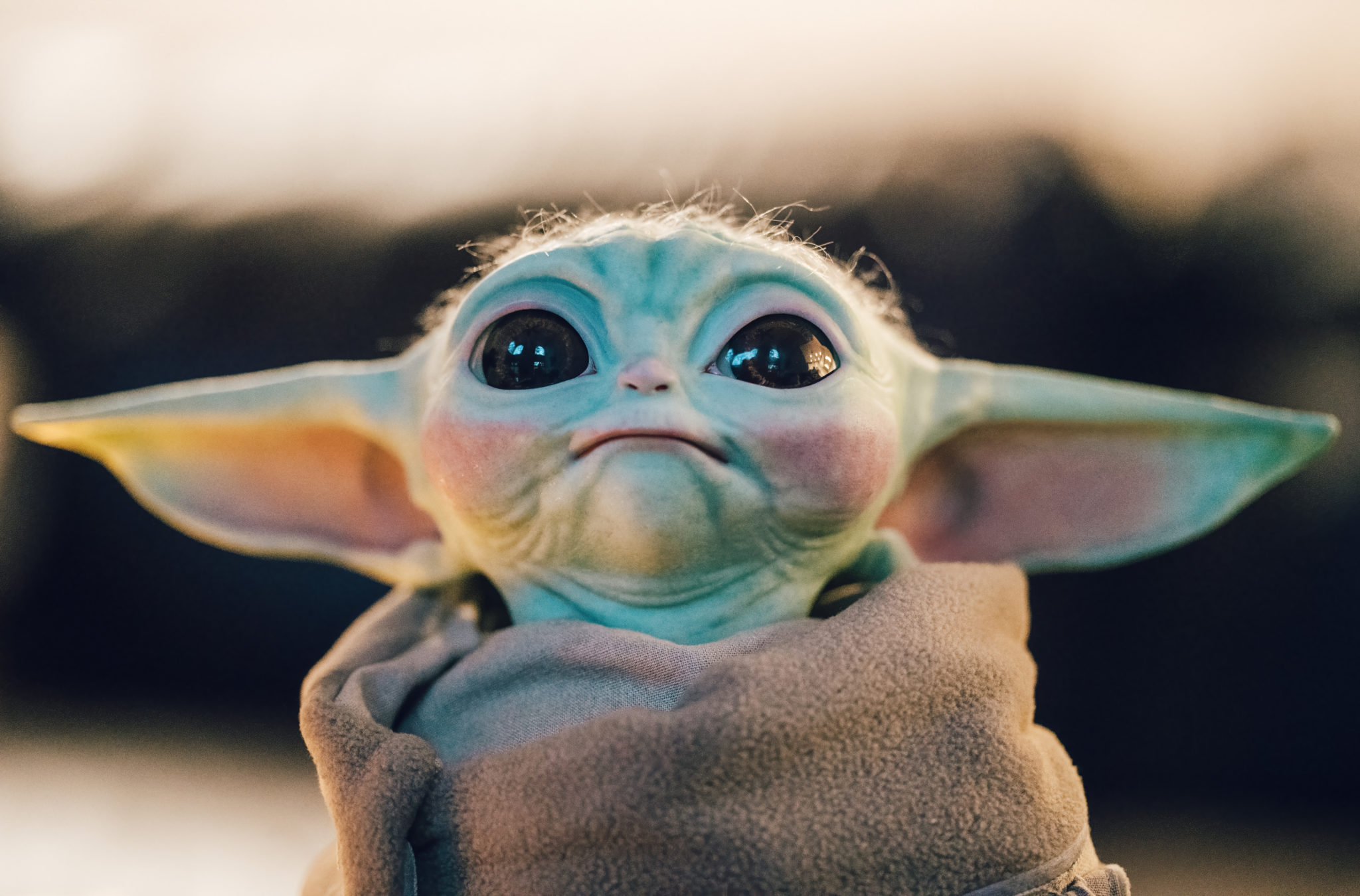 Il est désormais possible d'avoir son propre « Baby Yoda » chez soi